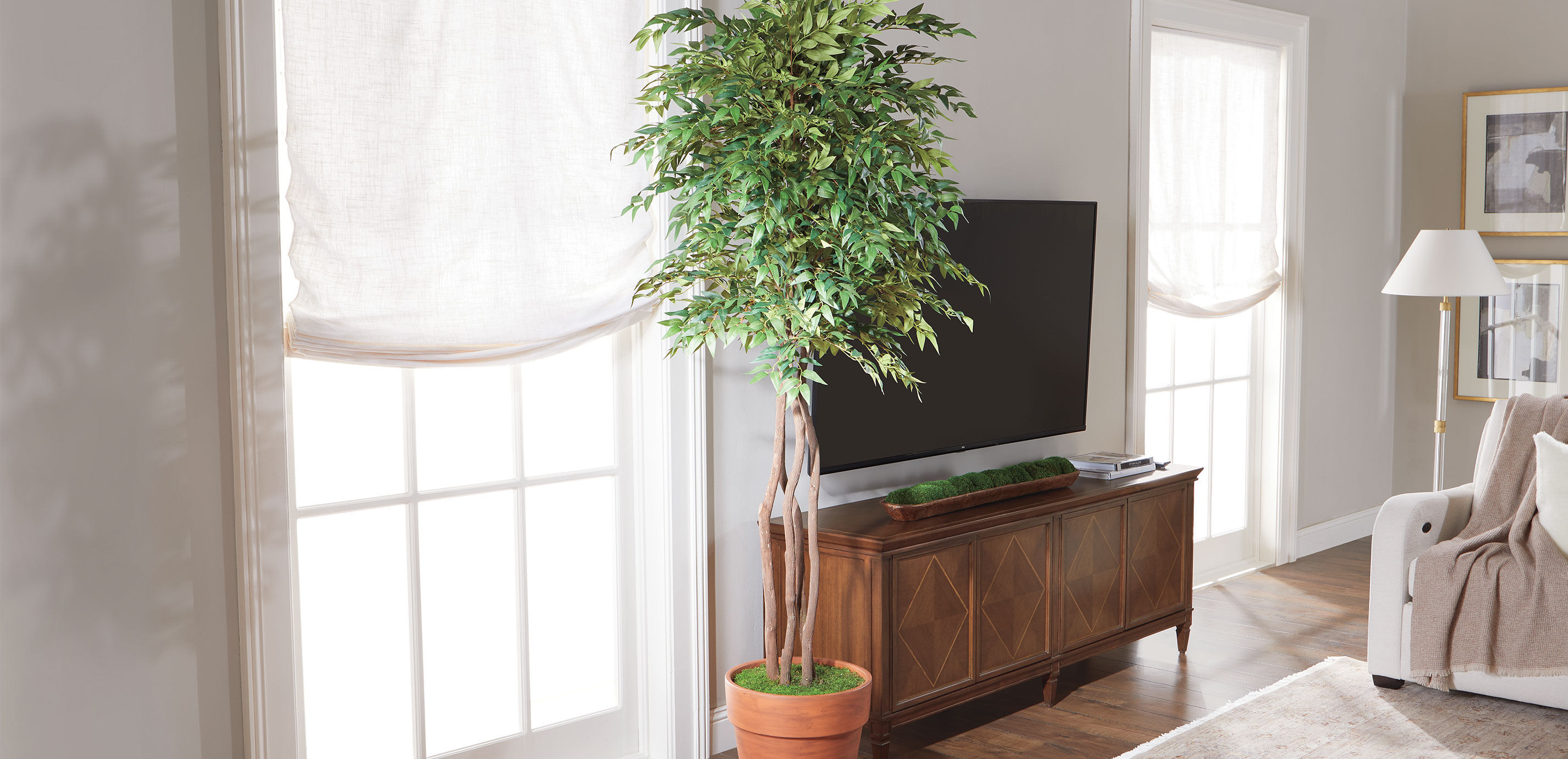 Smilax Tree in Terracotta Pot_7