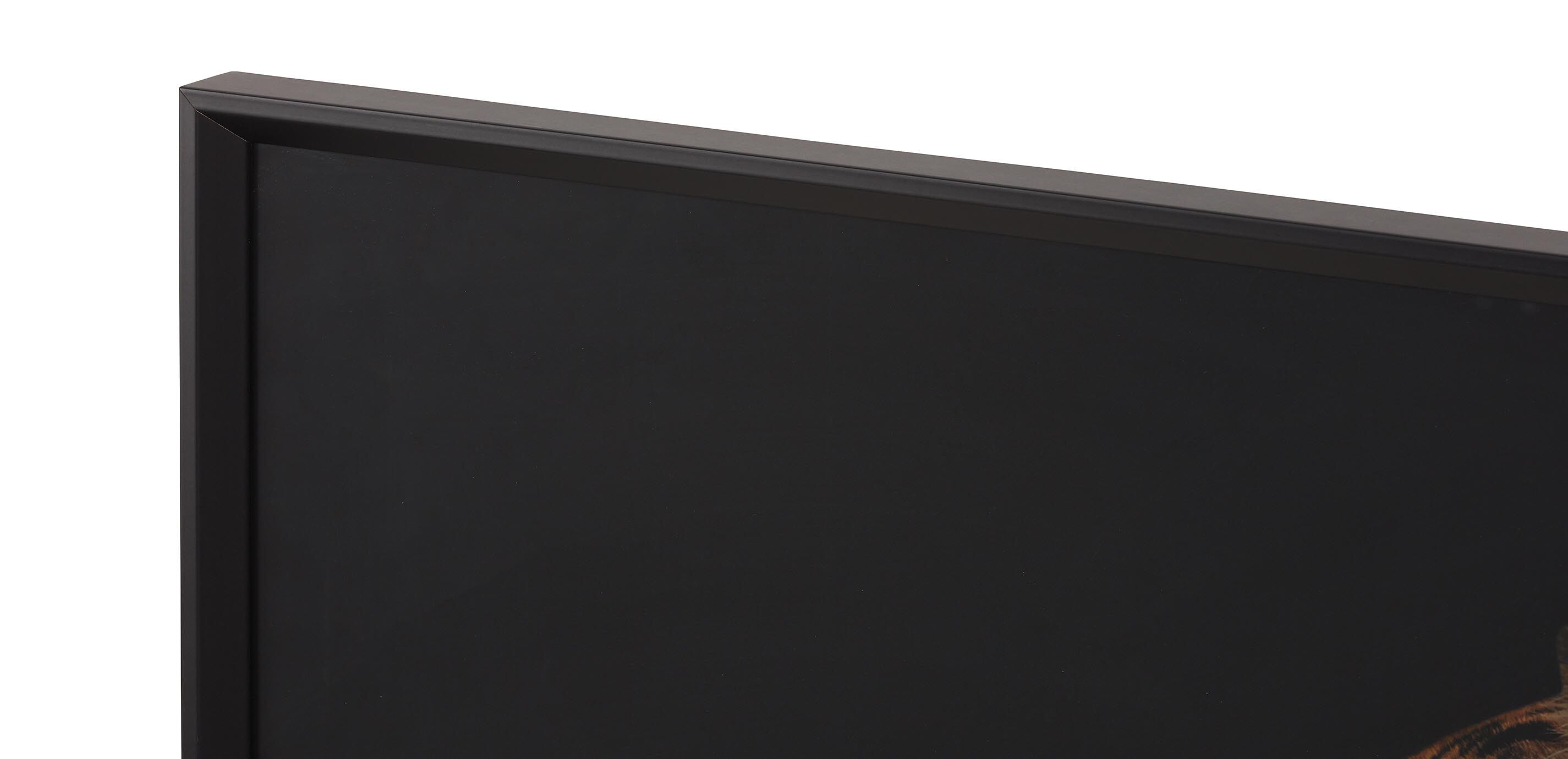 Strayed into Shadow III_2