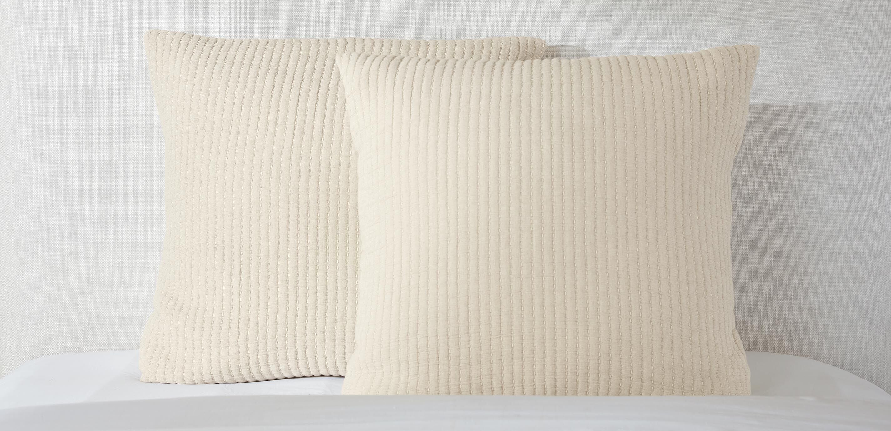 Dash Euro Sham