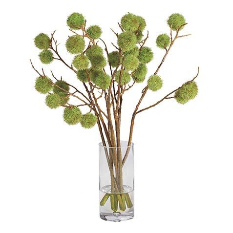 Chestnut Branch Arrangement in Tall Glass Vase image