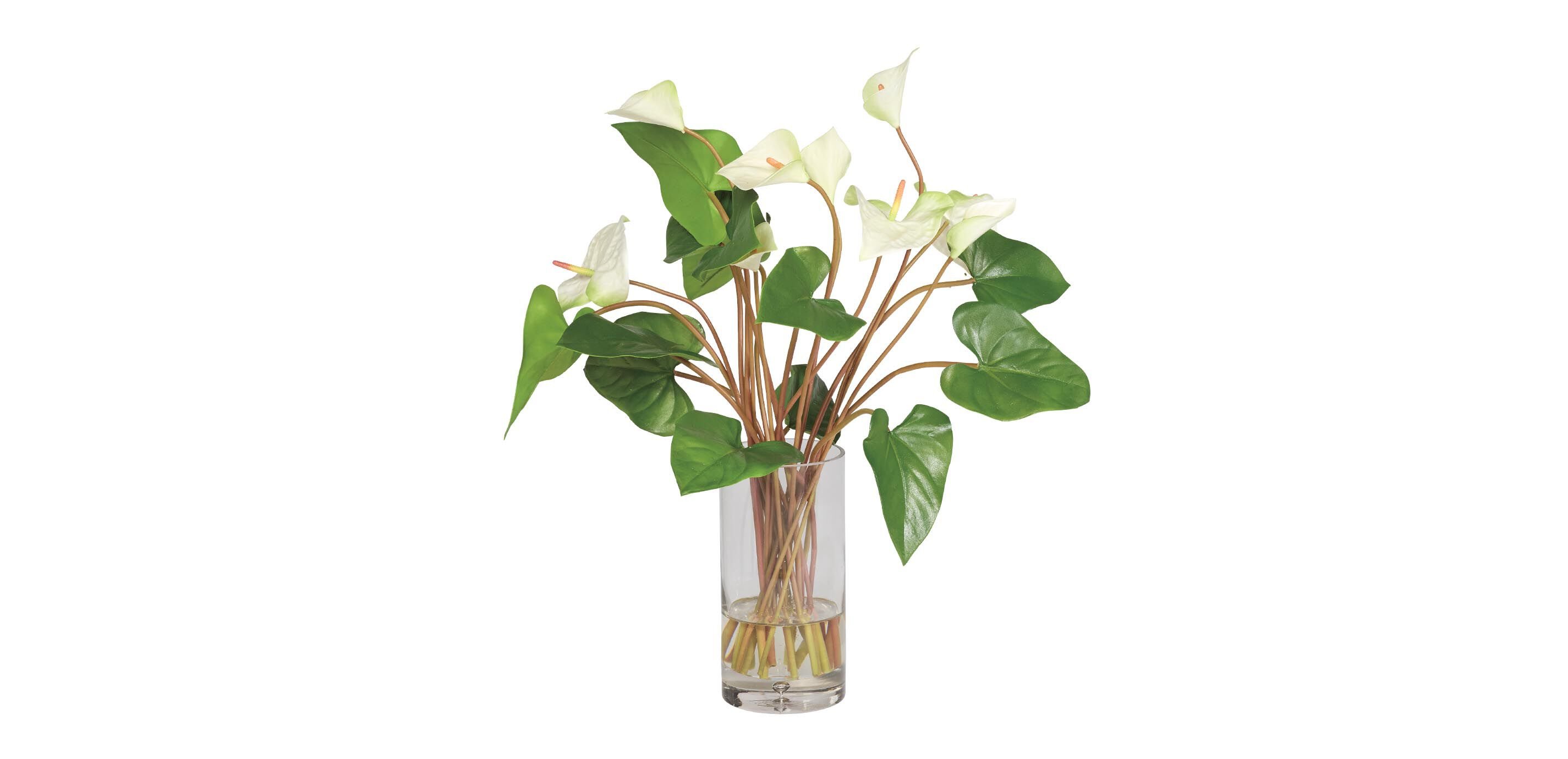 Tropical Anthurium Bouquet in Glass Vase_1