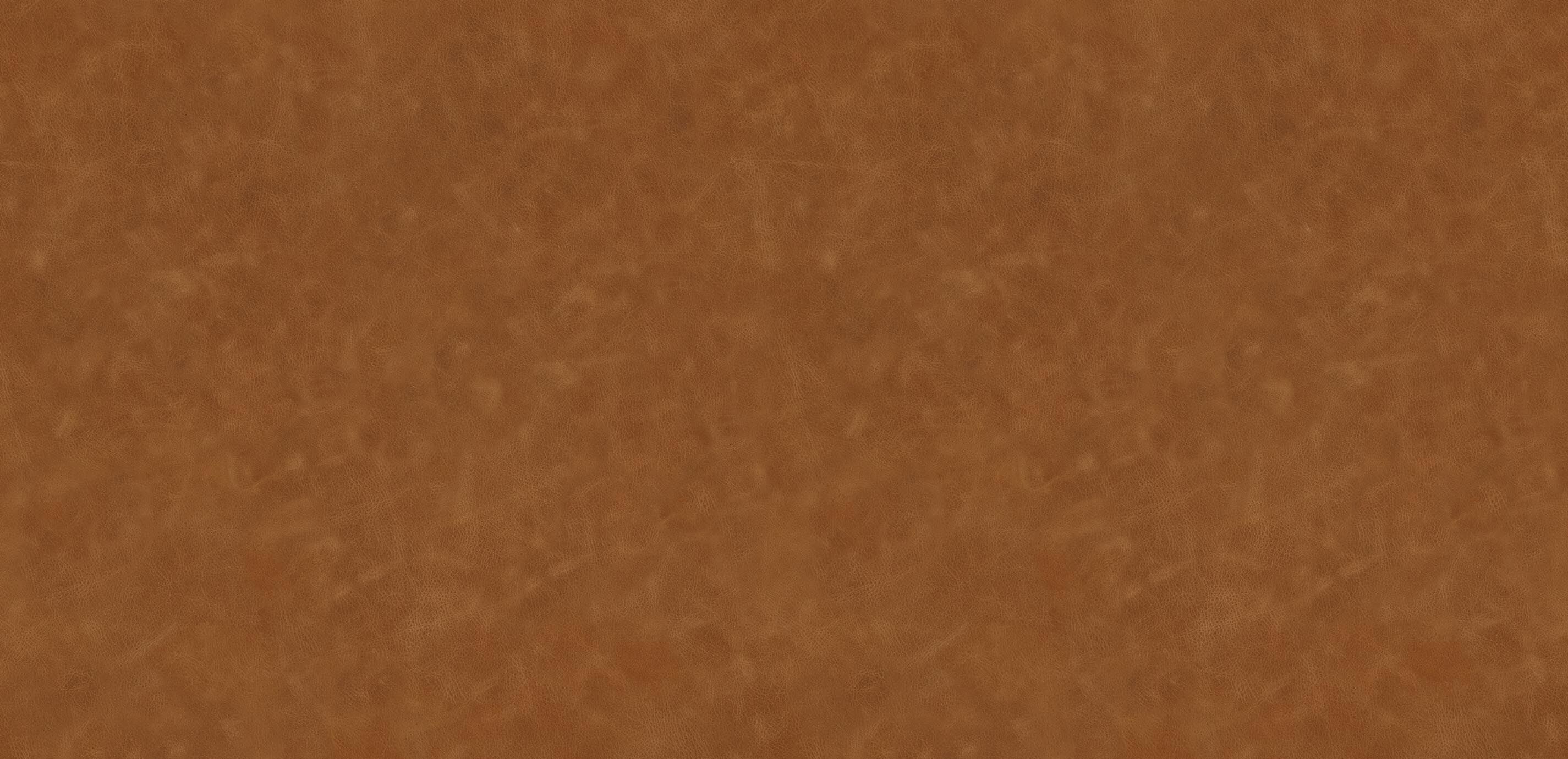 Sundance Saddle Swatch