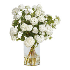 White Snowball Watergarden Recommended Product