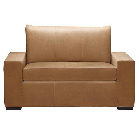 Conway Leather Sleeper Sofa image