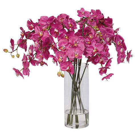 Orchids in Tall Glass Vase image