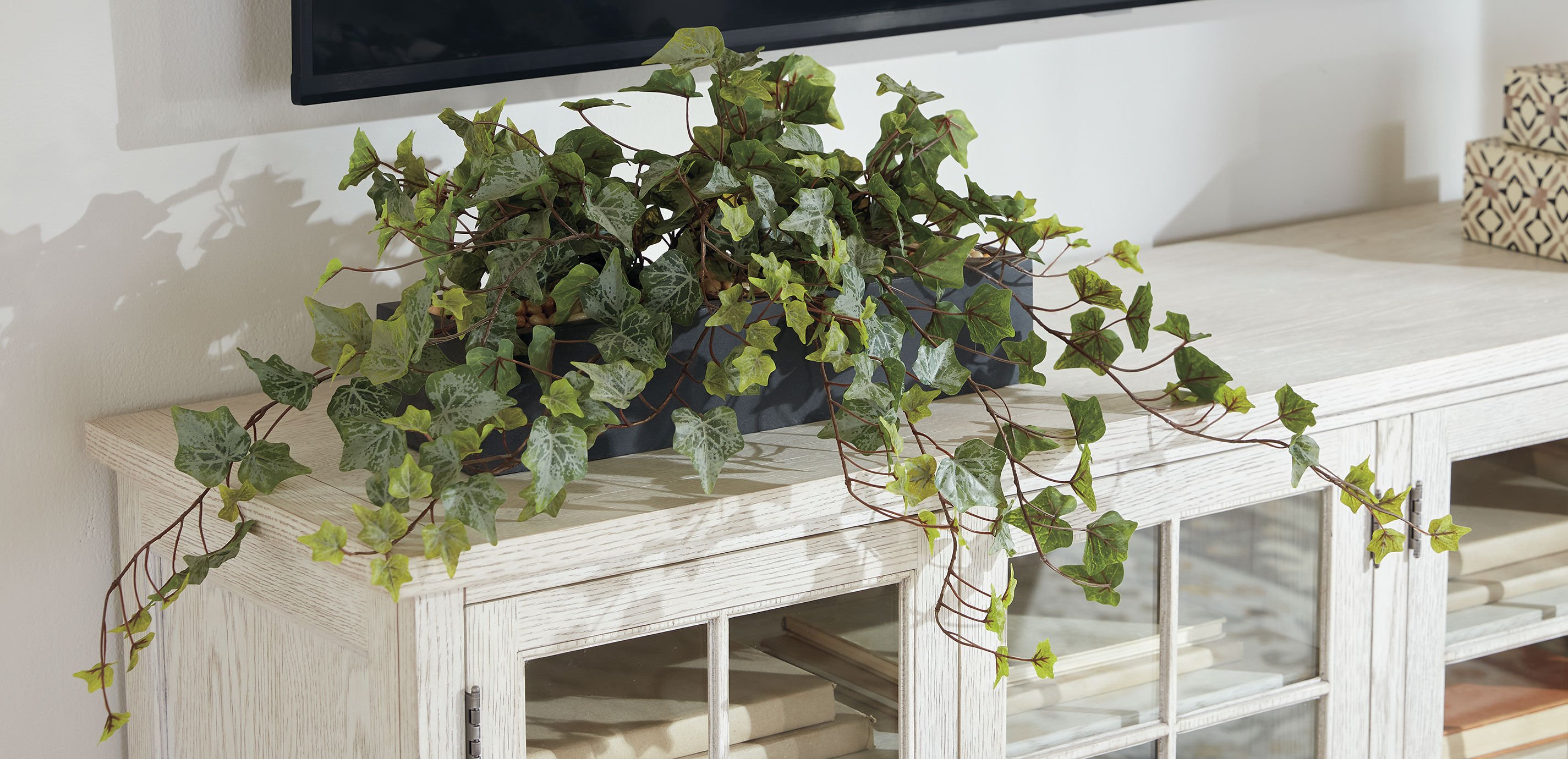 Linear Ivy with Stone_1