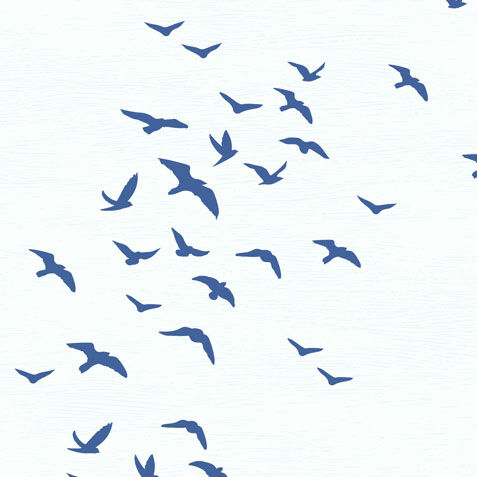 Bird Silhouettes Wallpaper image