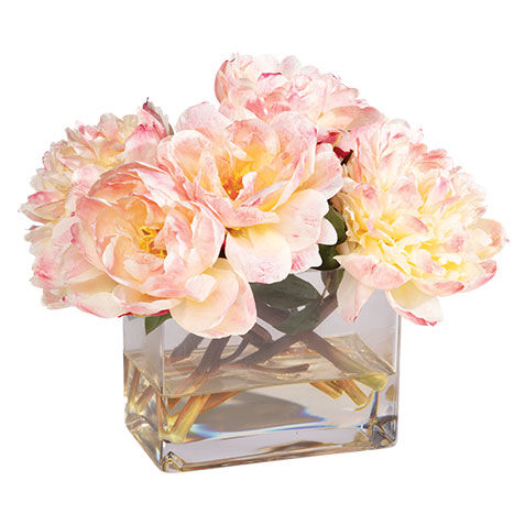 Peach Peonies in Rectangular Glass Vase image