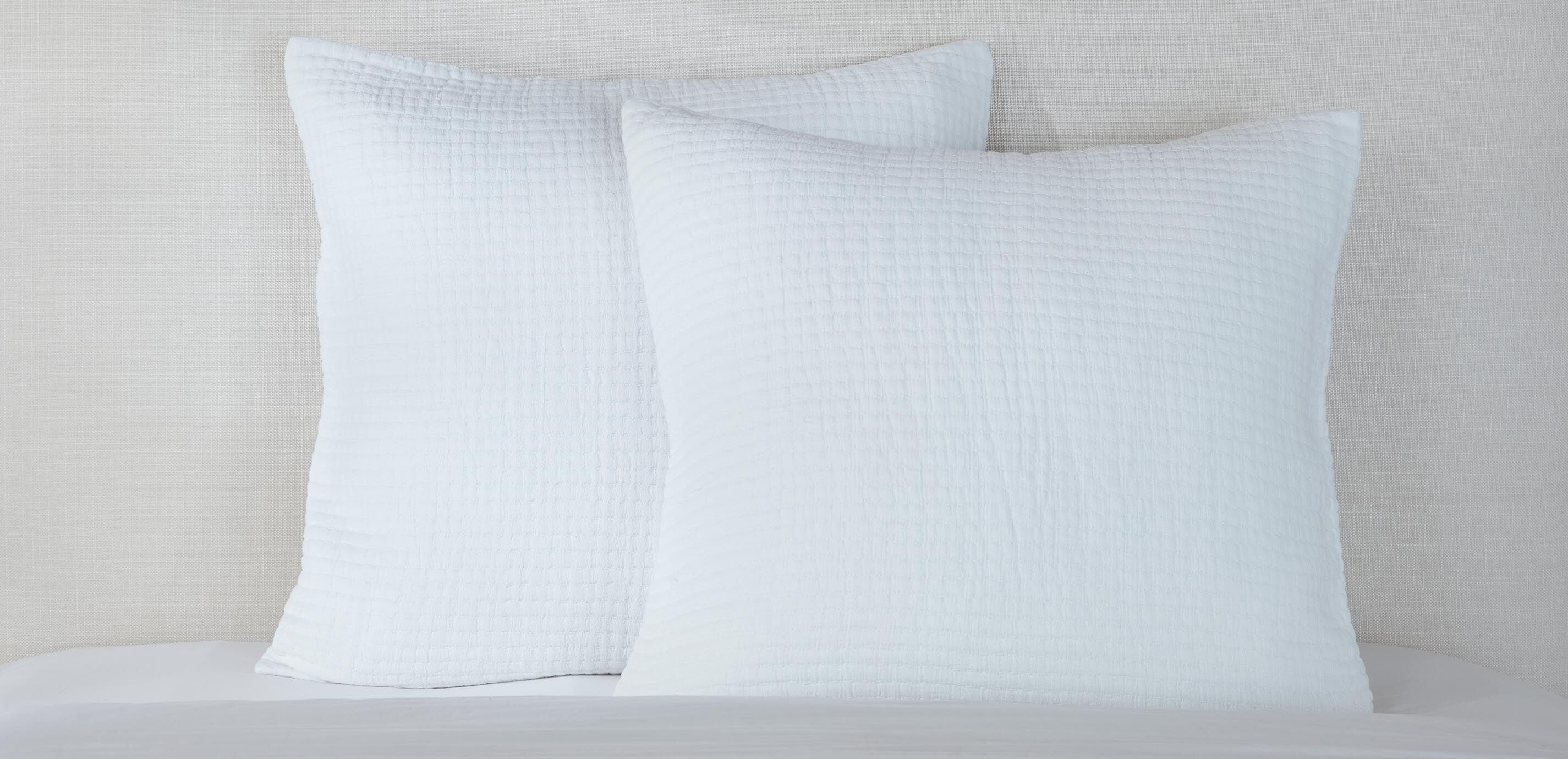 Dash Euro Sham