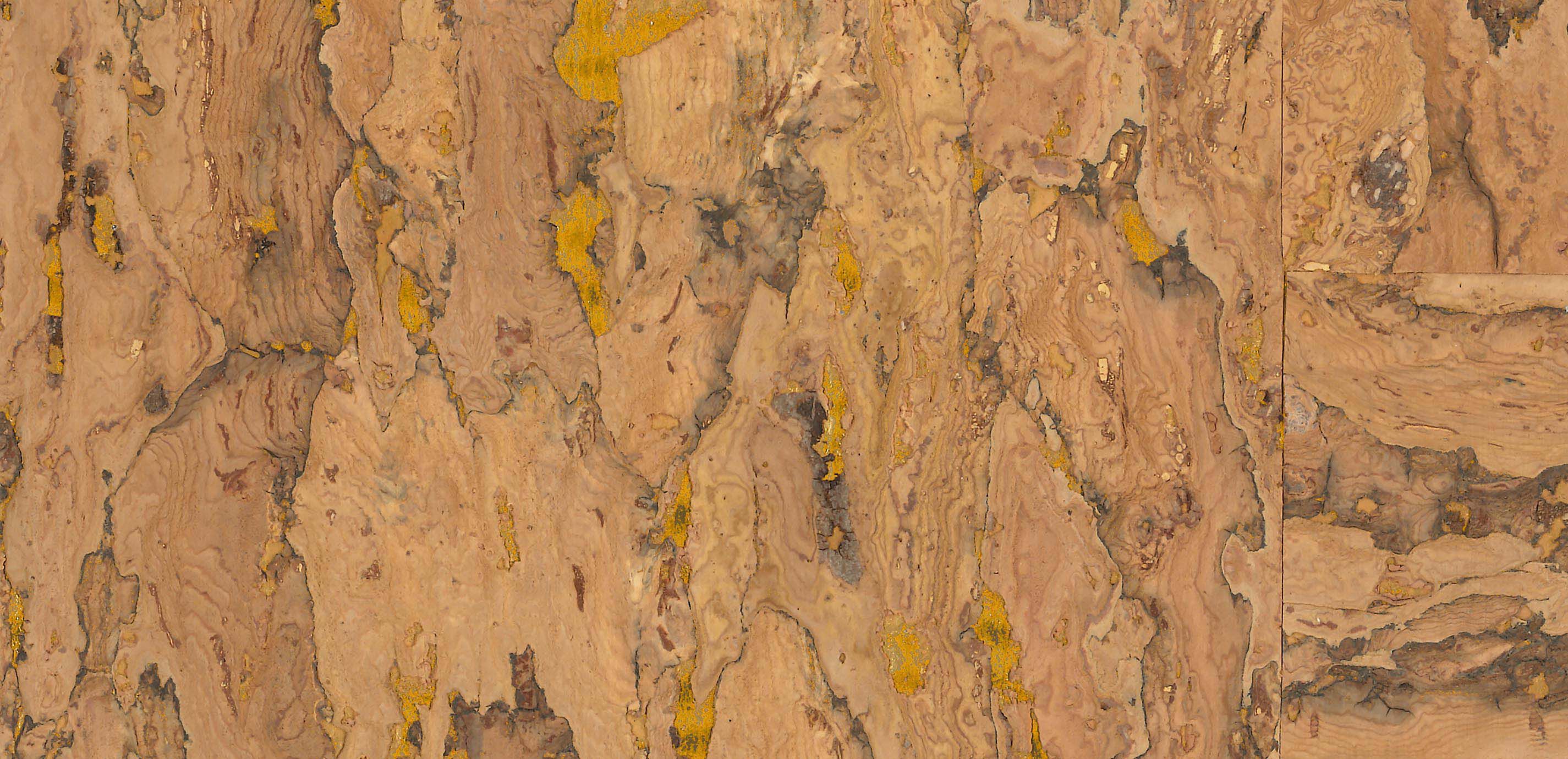 William Cork Wallpaper