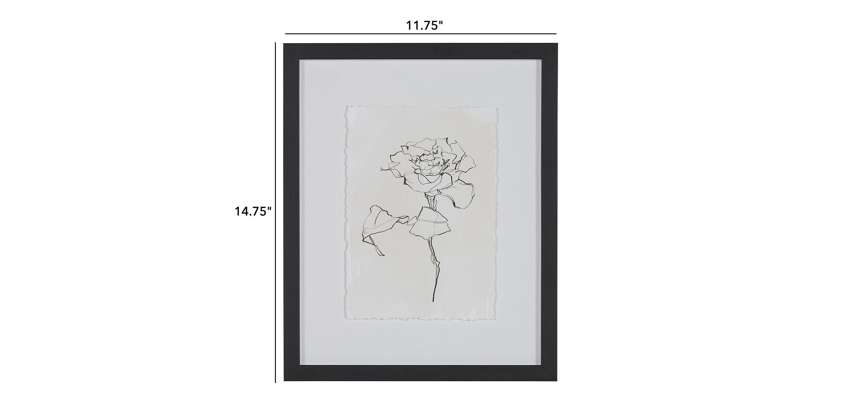 Floral Contour Study I_1