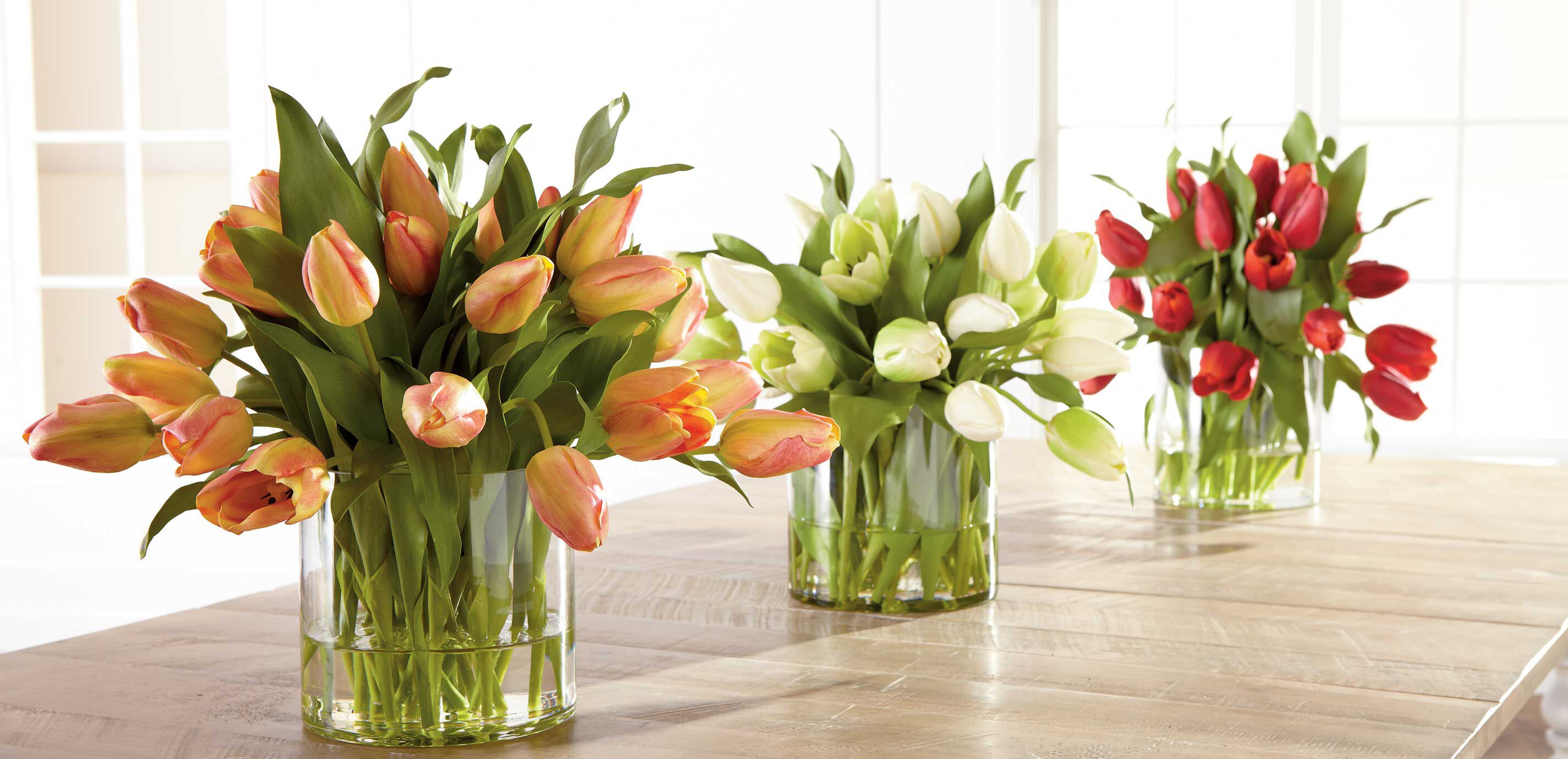 White Tulip Watergarden_11