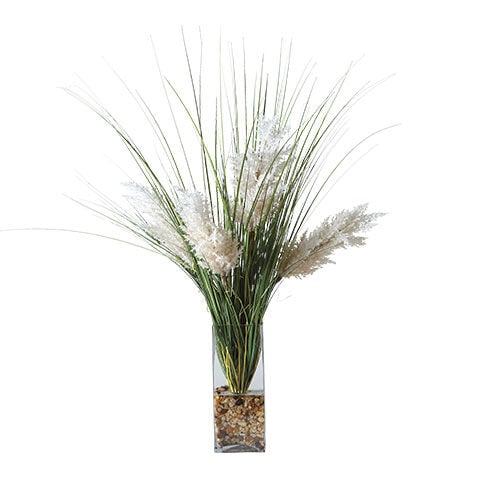 Pampas Grass in Glass Vase image