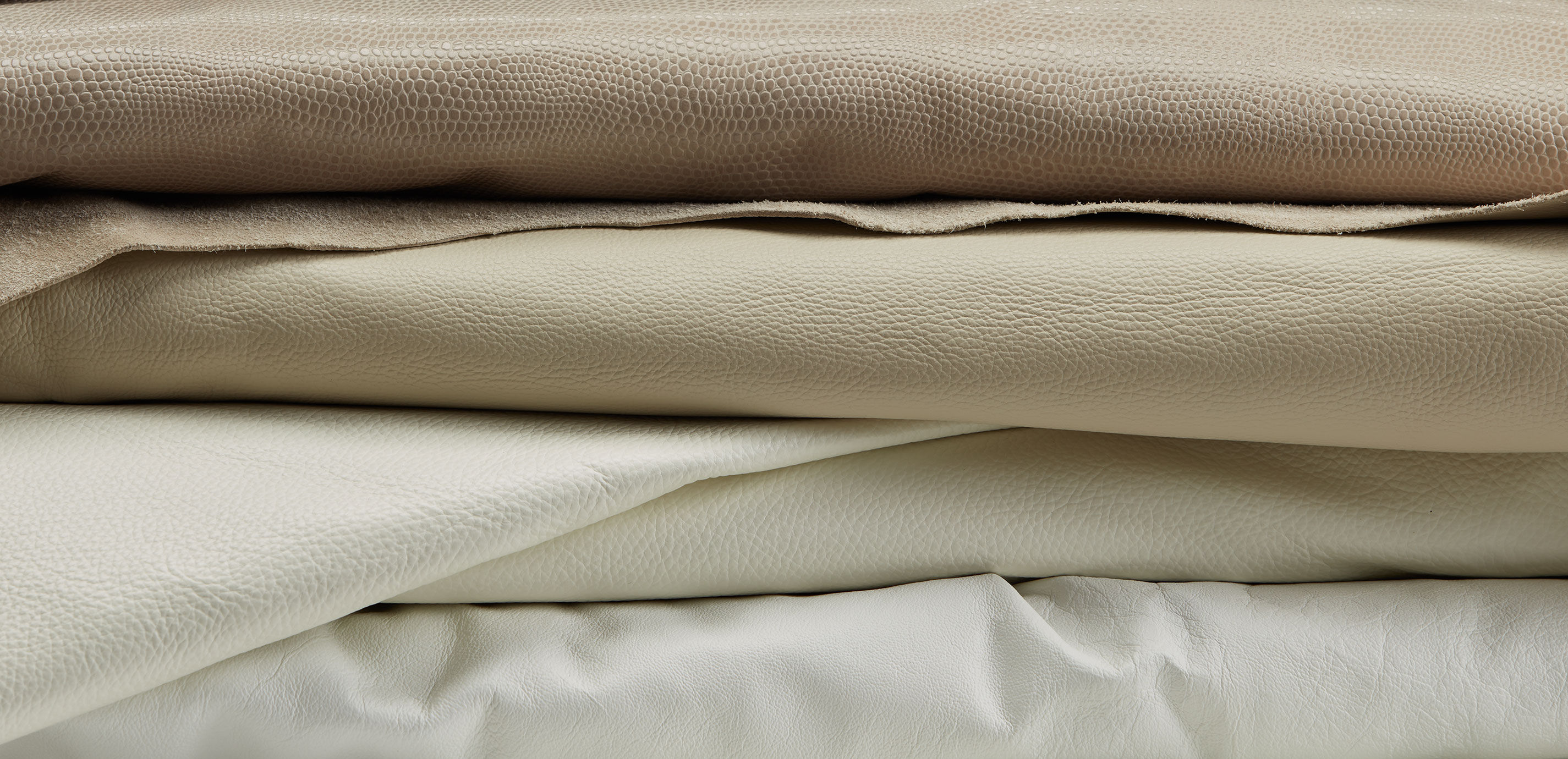 Odessa Ivory Swatch_4