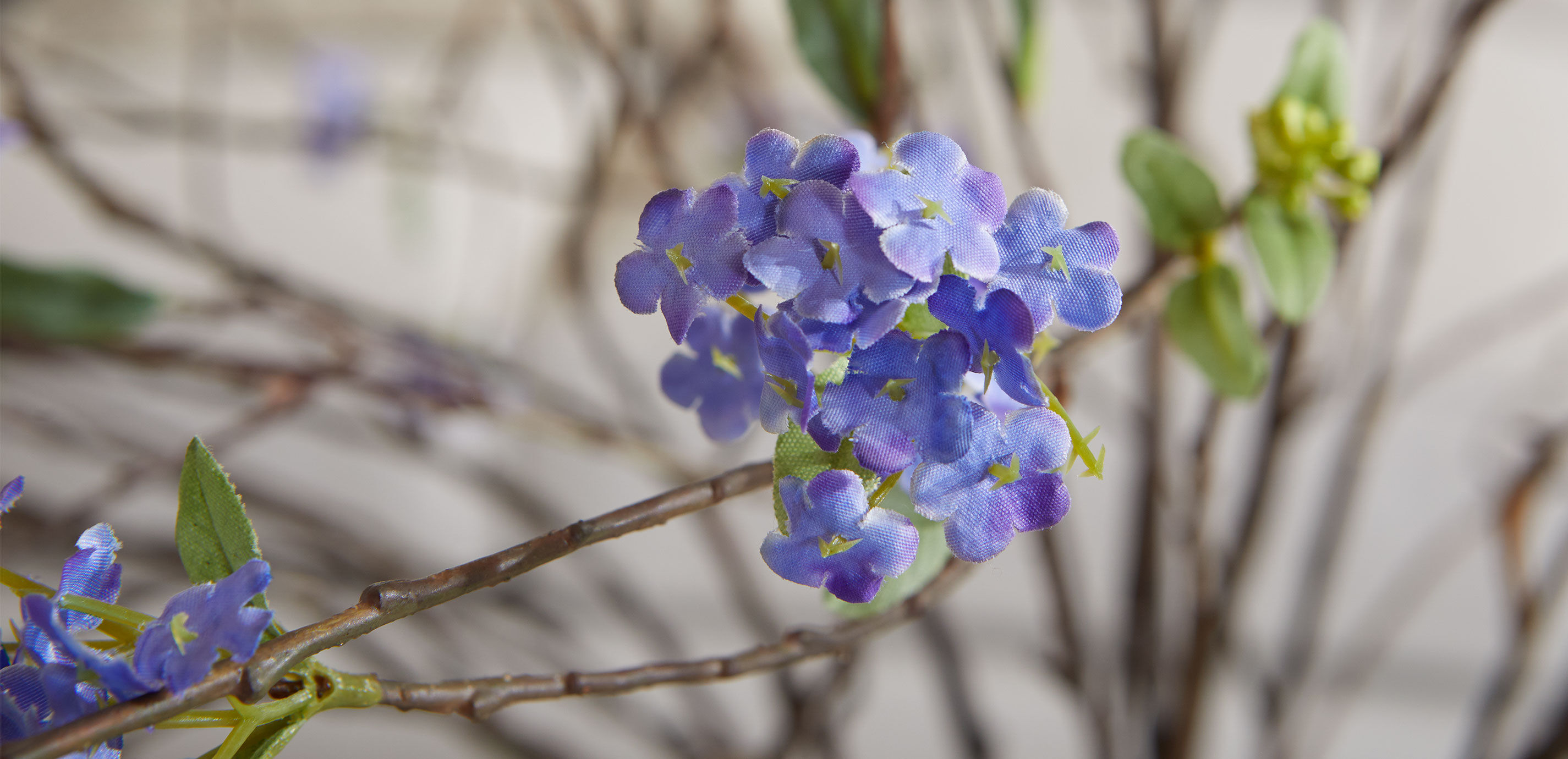 Spirea Branch Arrangement in Tall Vase_7