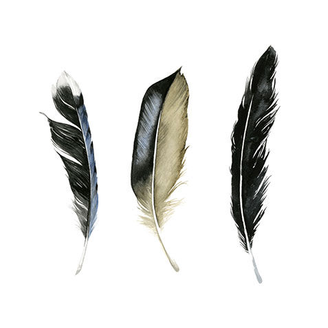 Soft Feathers II image