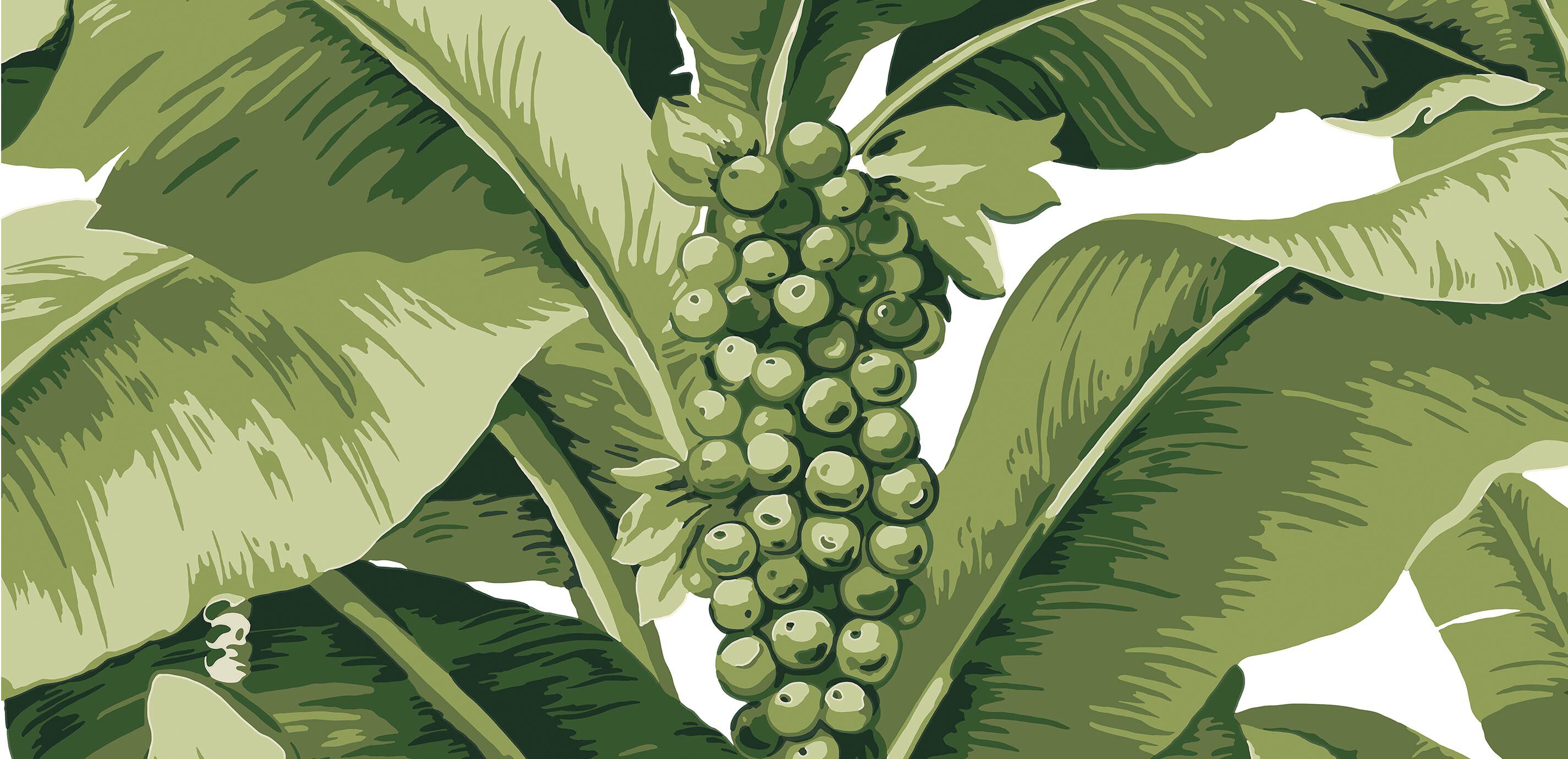 Jenny Floral Wallpaper