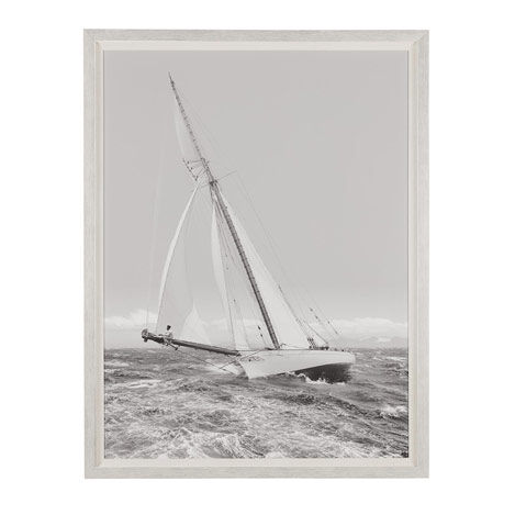 Regatta II image