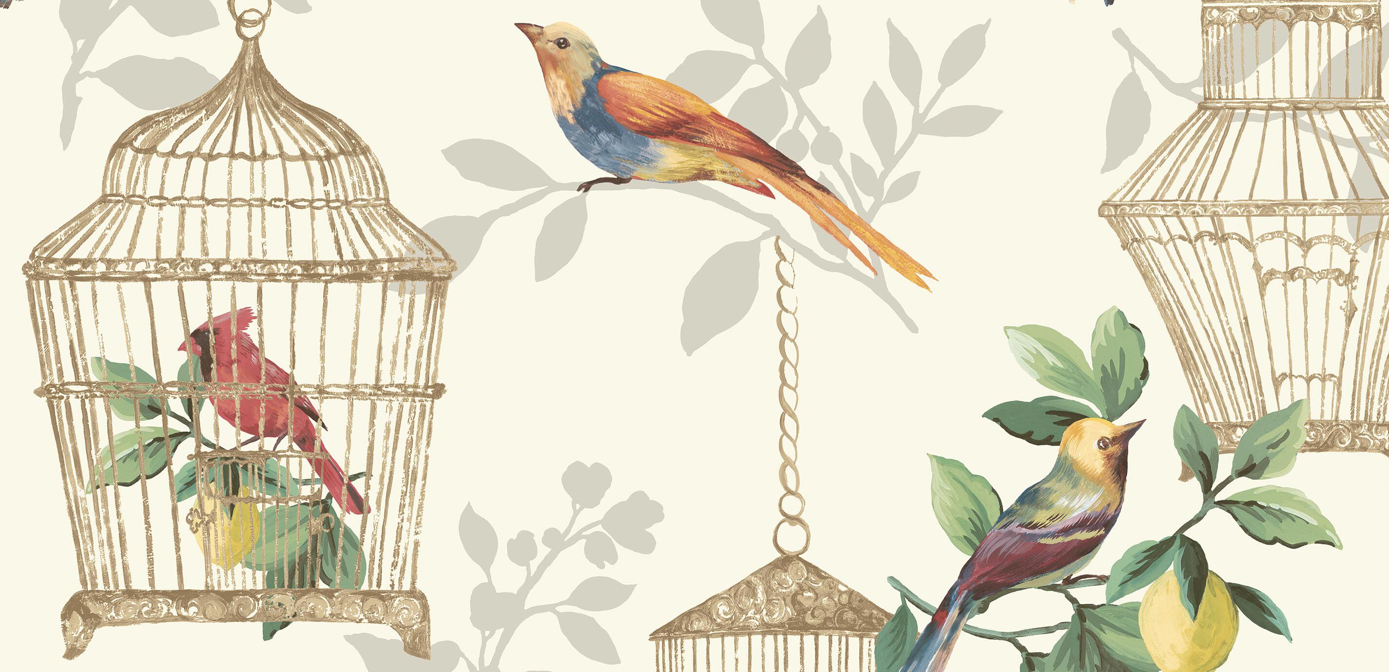 Birdcage Wallpaper