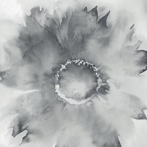 Seward Winter Wallpaper image