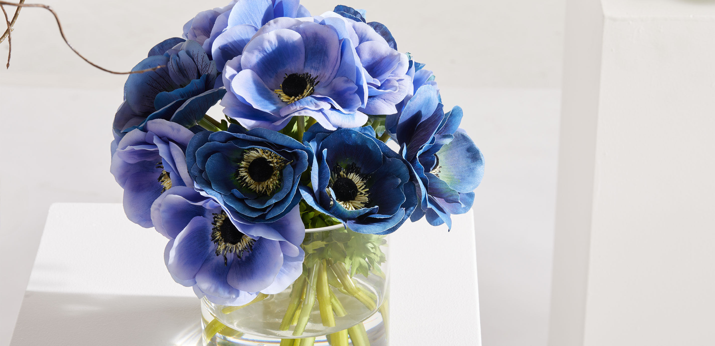 Deep Blue Anemone Bouquet in Cylinder Vase_5