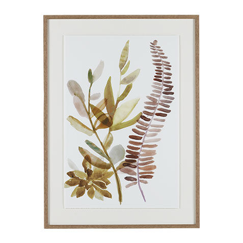 Ridge Ferns II image