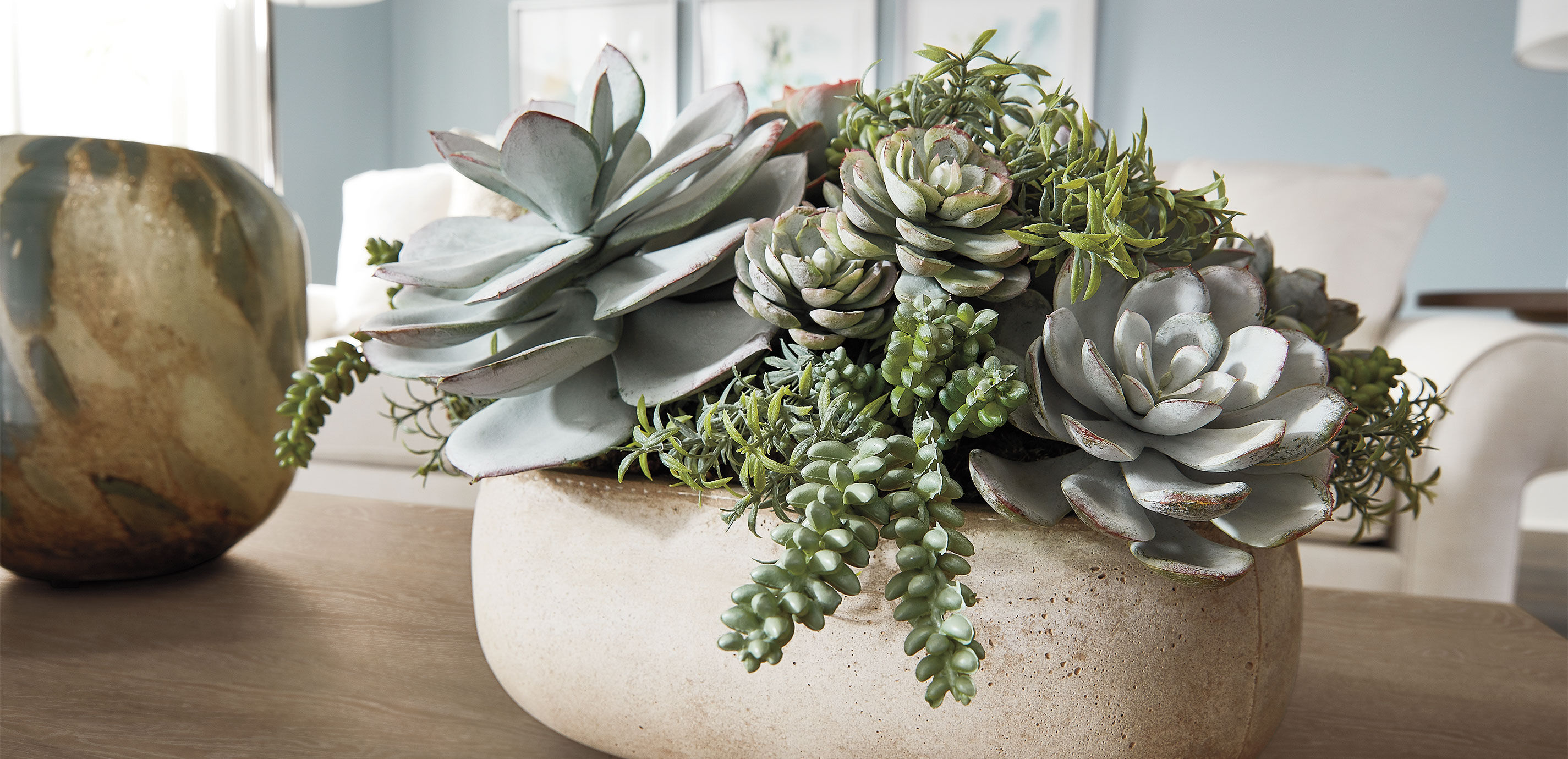 Mixed Succulents in Light Grey Cement Tray_2