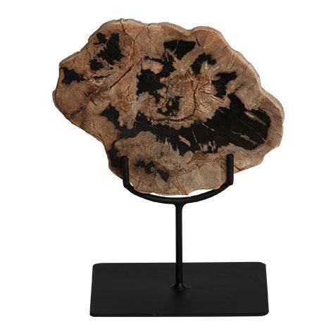 Petrified Wood on Stand image