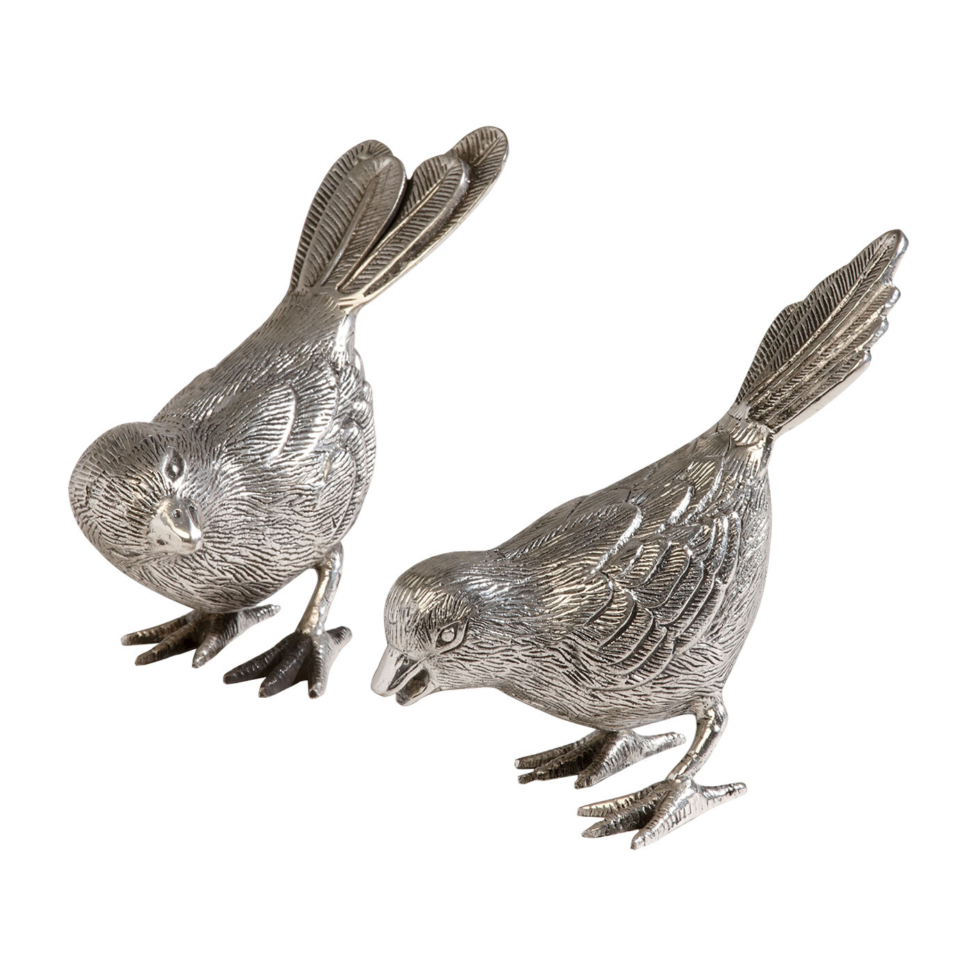 Ensemble de deux oiseaux chanteurs  image