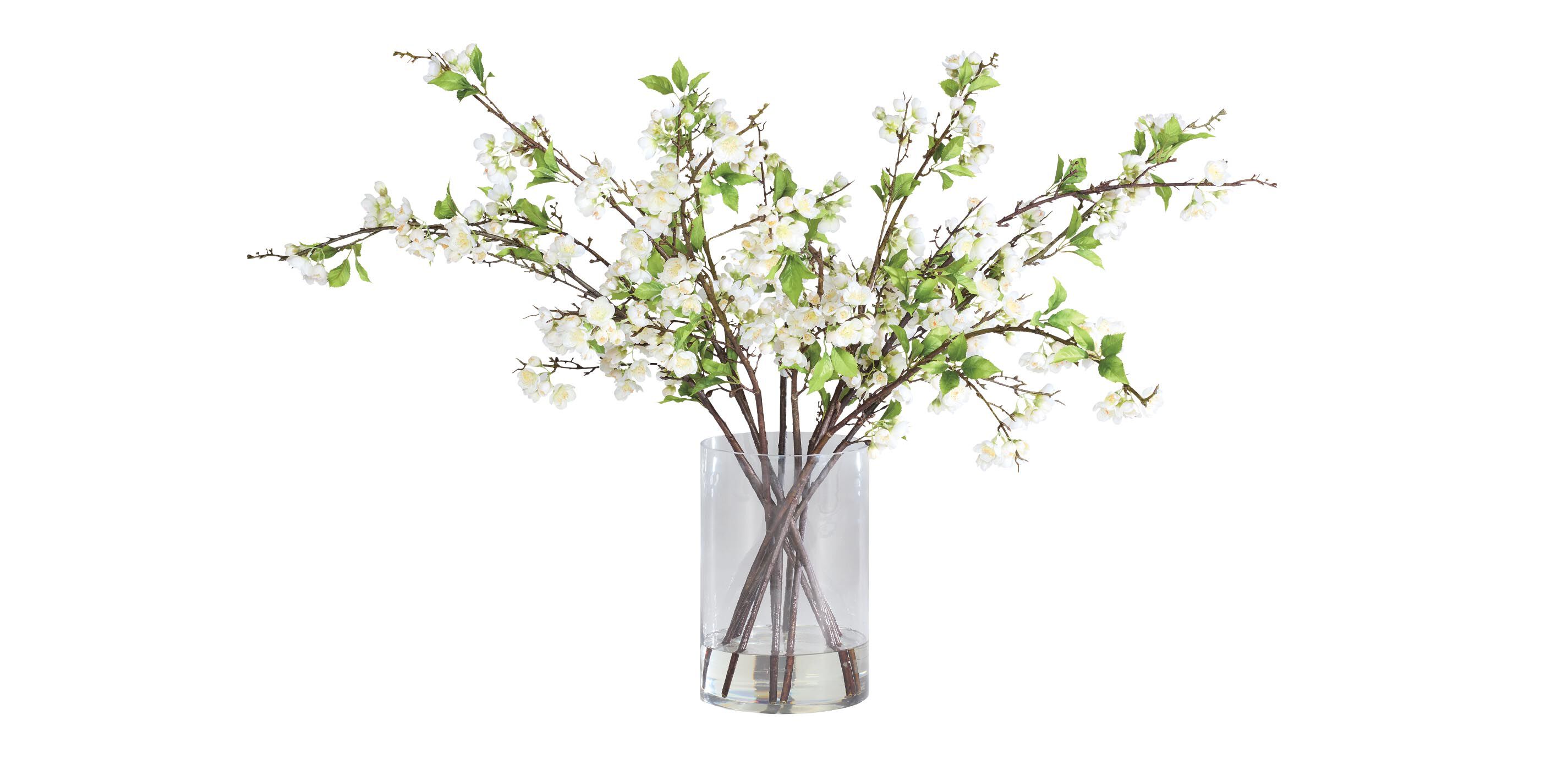 White Plum Blossom Arrangement in Tall Vase