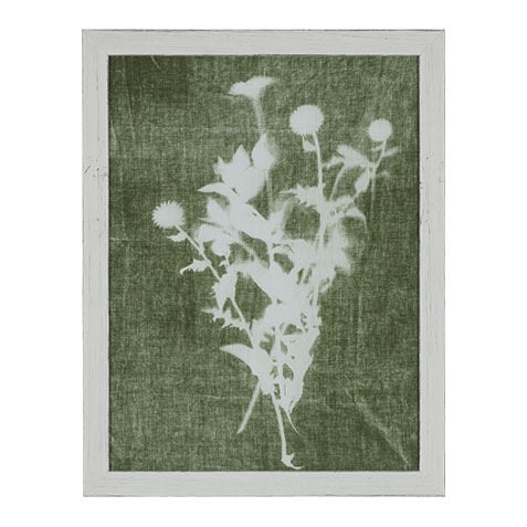 Sage Silhouette II image