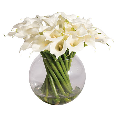 Calla Lilies in Vase image