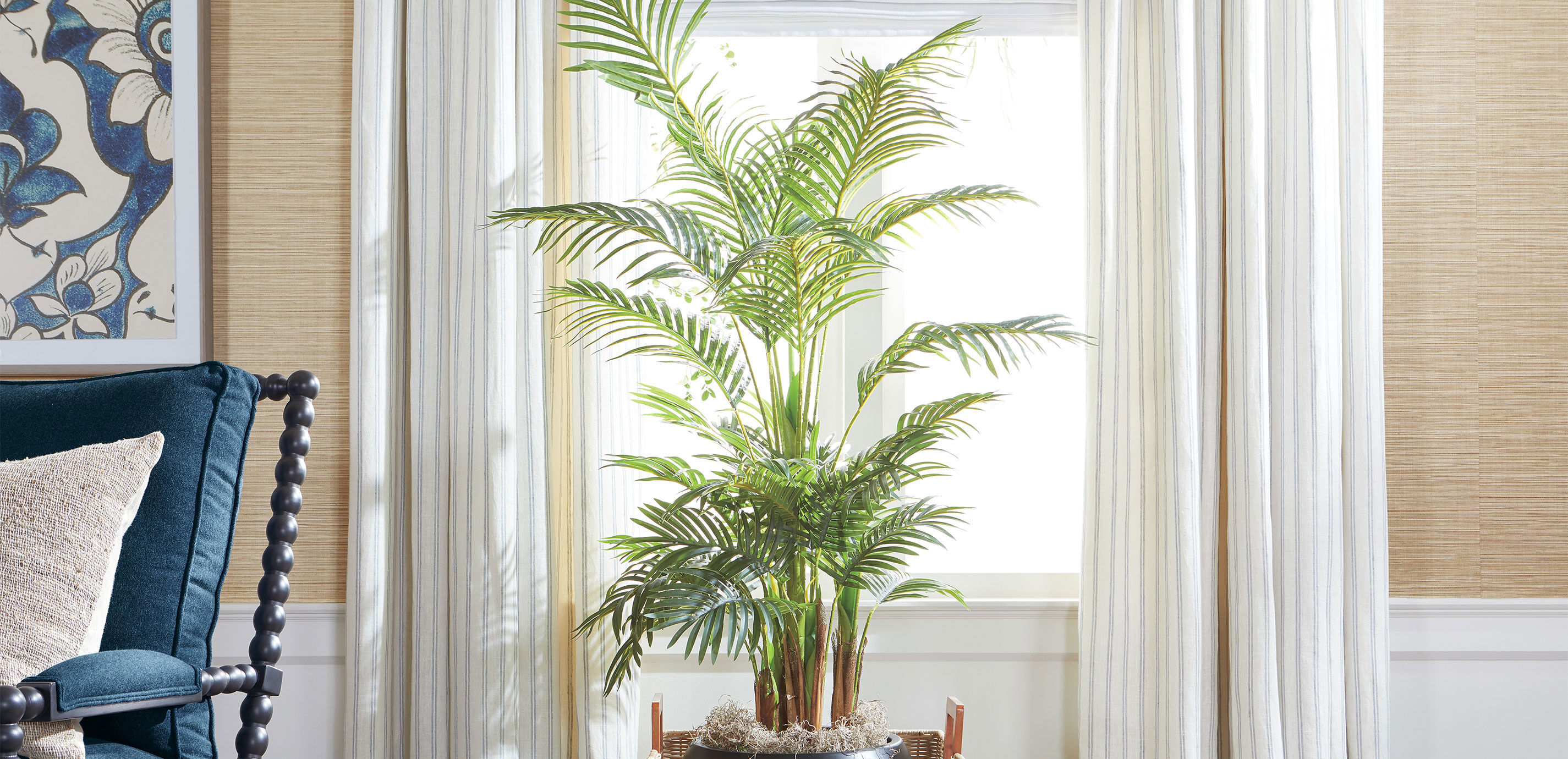 Areca Palm Tree_4