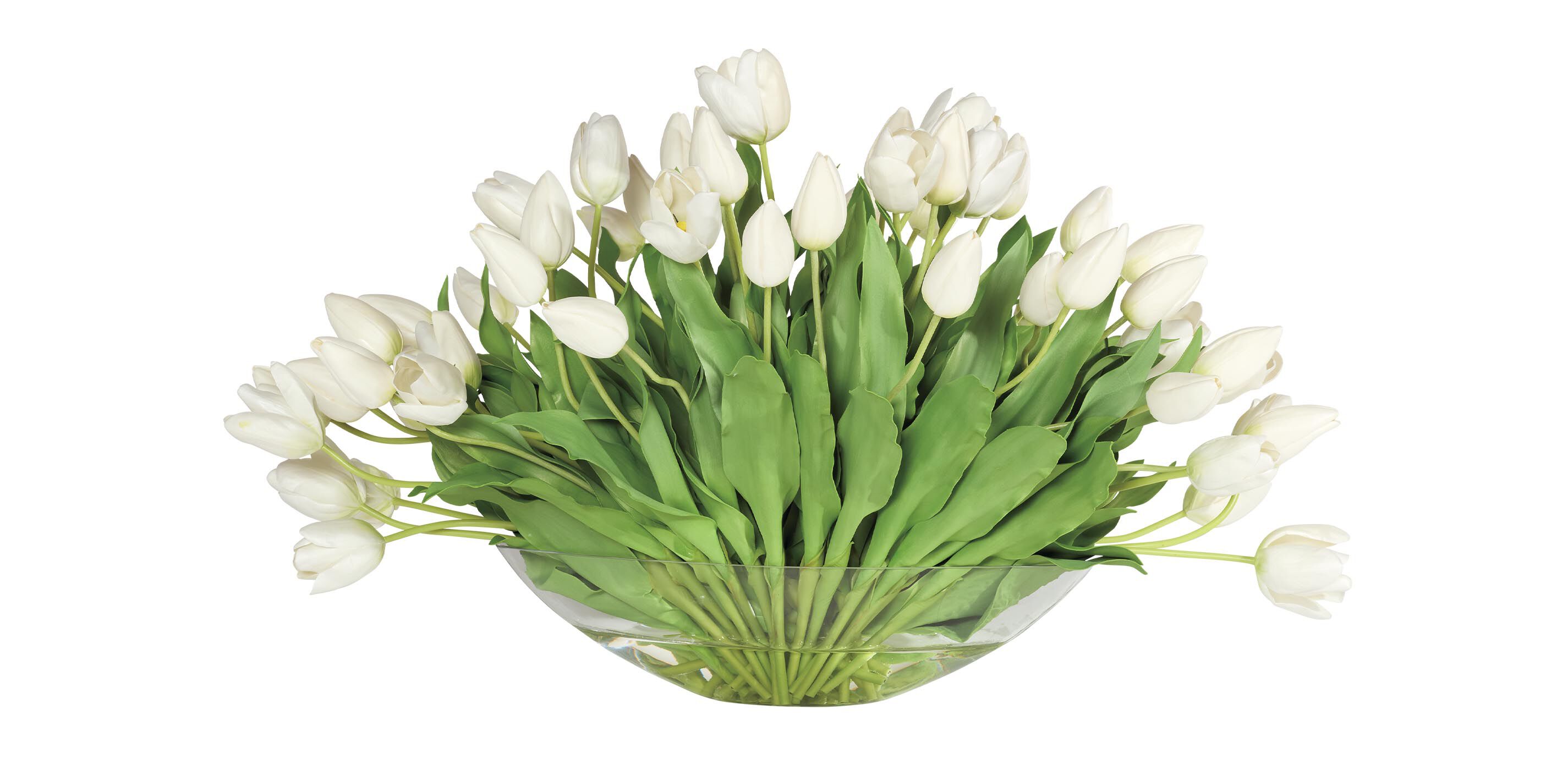 White Tulip Centerpiece in Linear Glass Vase