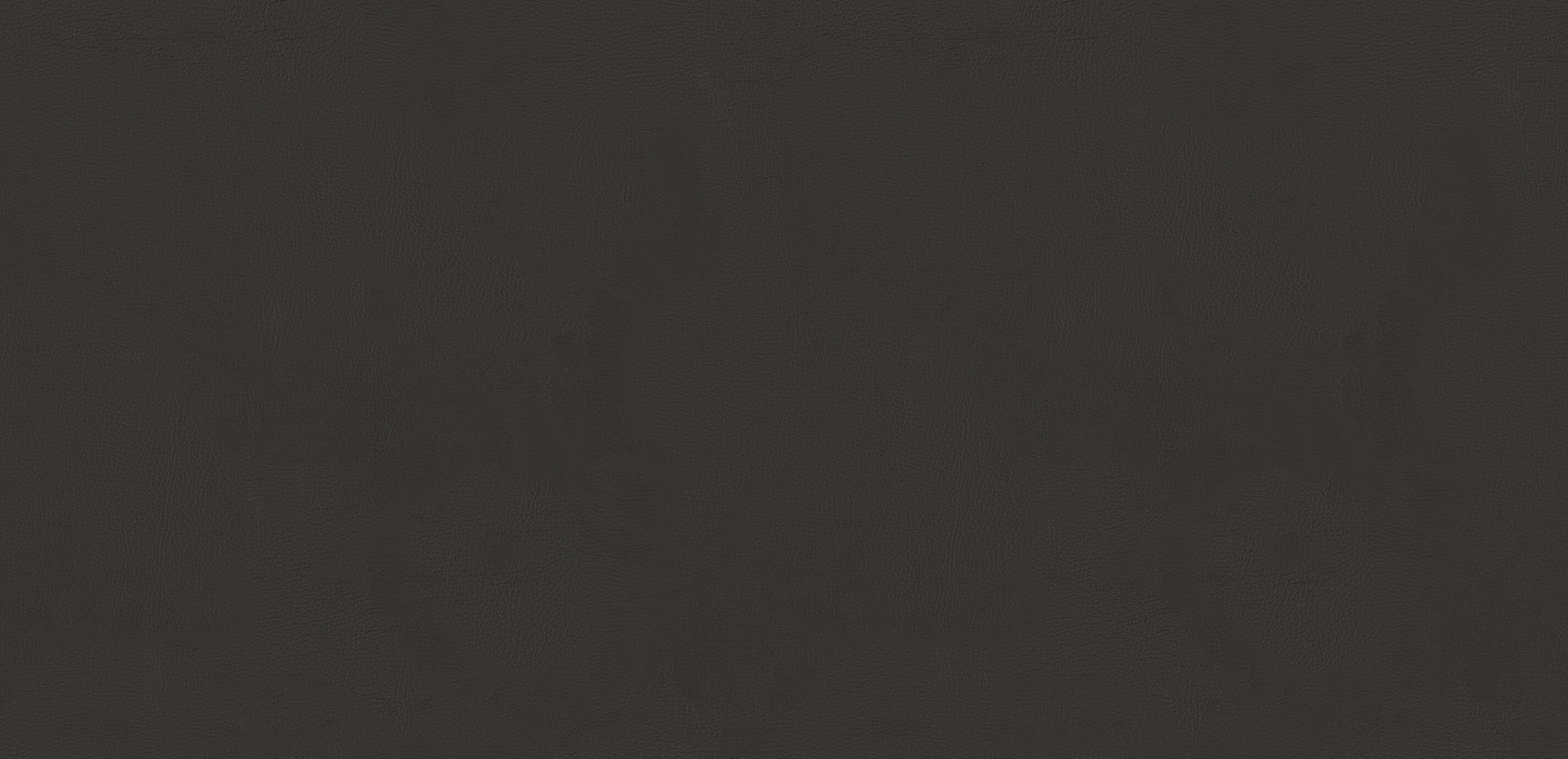 Odessa Charcoal Swatch