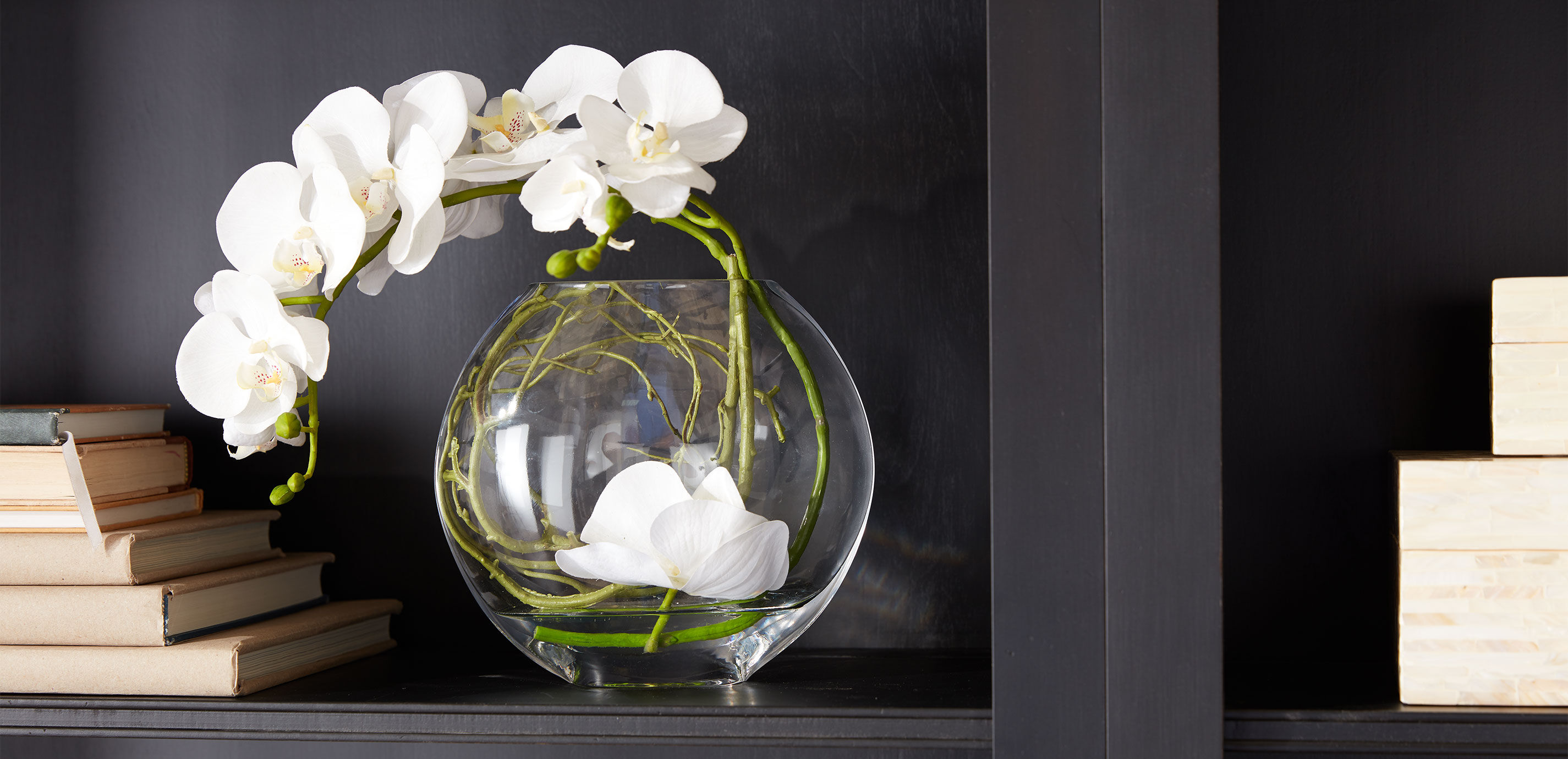 Orchid in Glass Vase_2