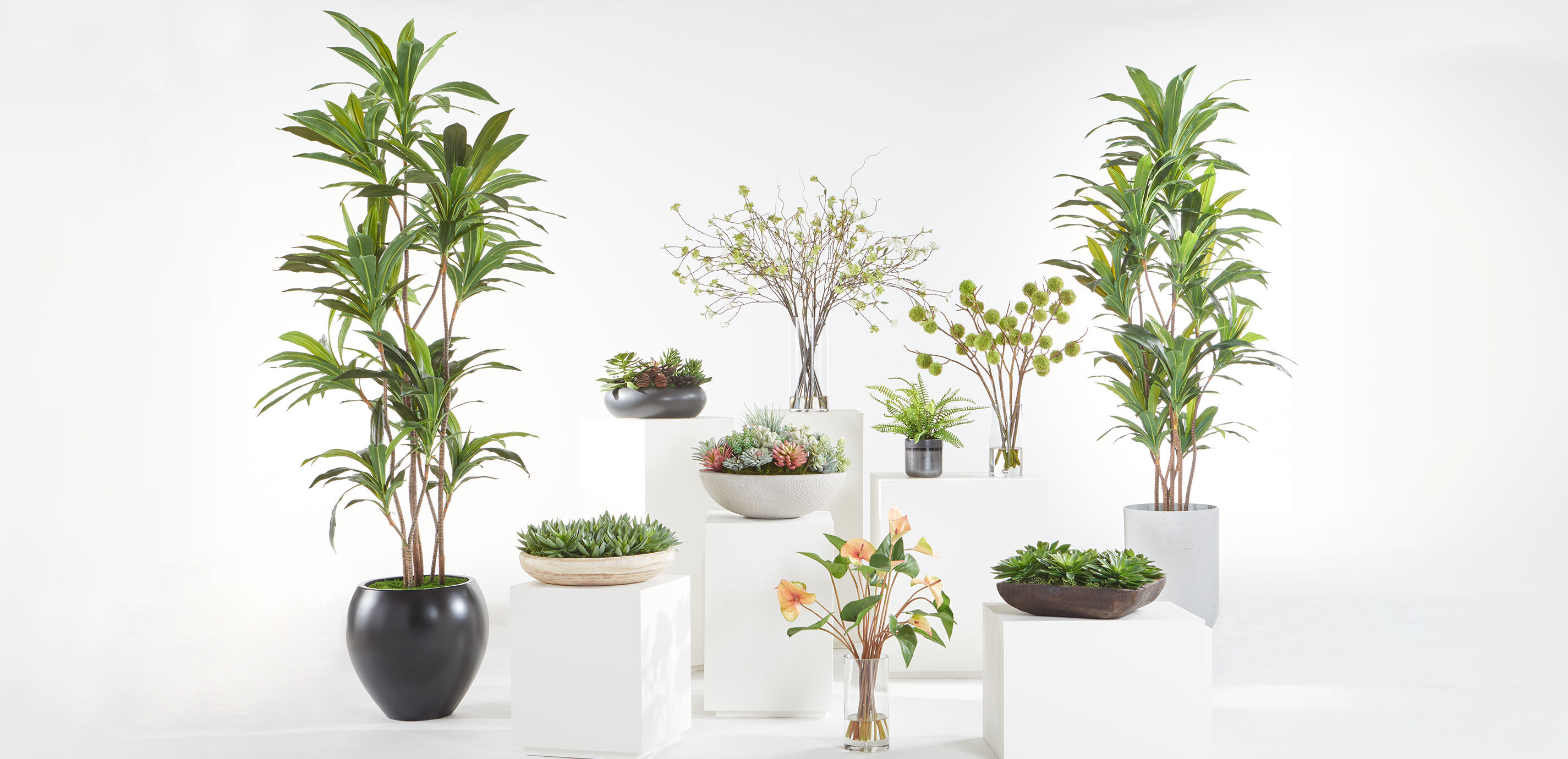 Succulent Centerpiece in natural wood bowl_9