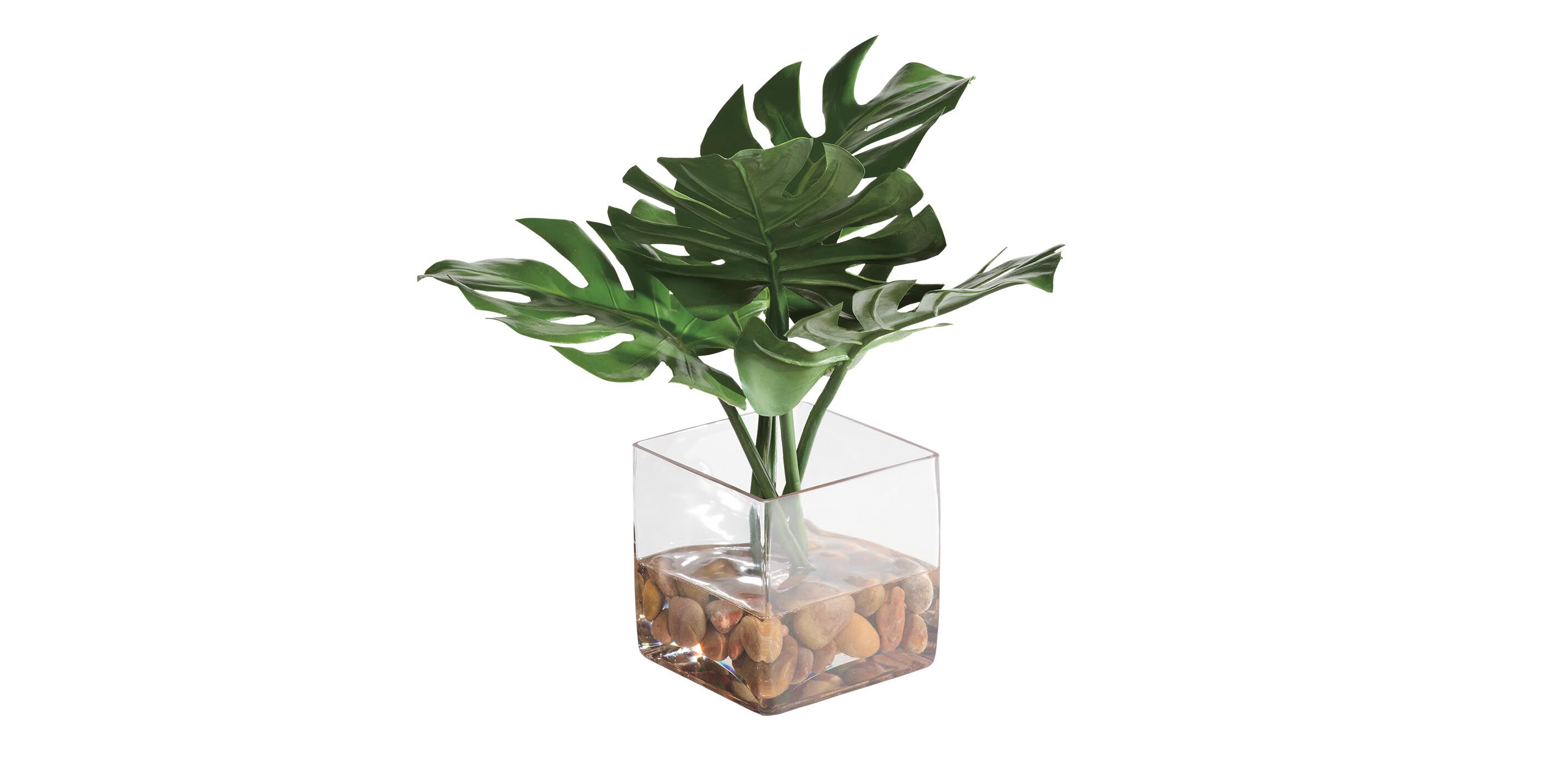 Tropical Leaf Watergarden_1