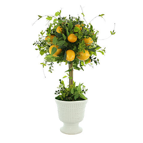 Lemon Topiary in Ceramic Vase image