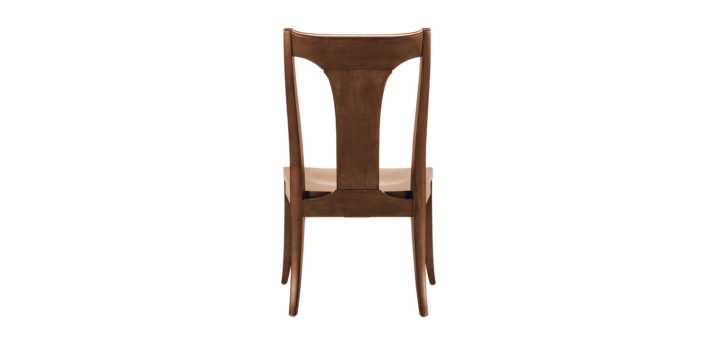 Artemis Dining Side Chair, Wood Seat_3