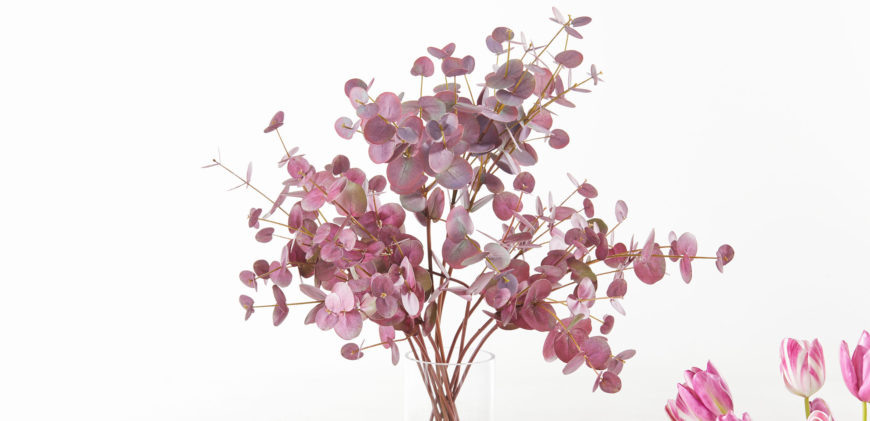 Burgundy Eucalyptus Arrangement in Glass Vase_5