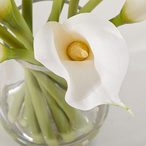 Calla Lily Bouquet in Tapered Glass Vase Product Tile Hover Image 443795   WHT