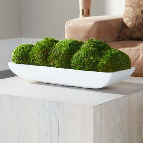 Moss in Linear White Bowl Product Tile Hover Image 443735