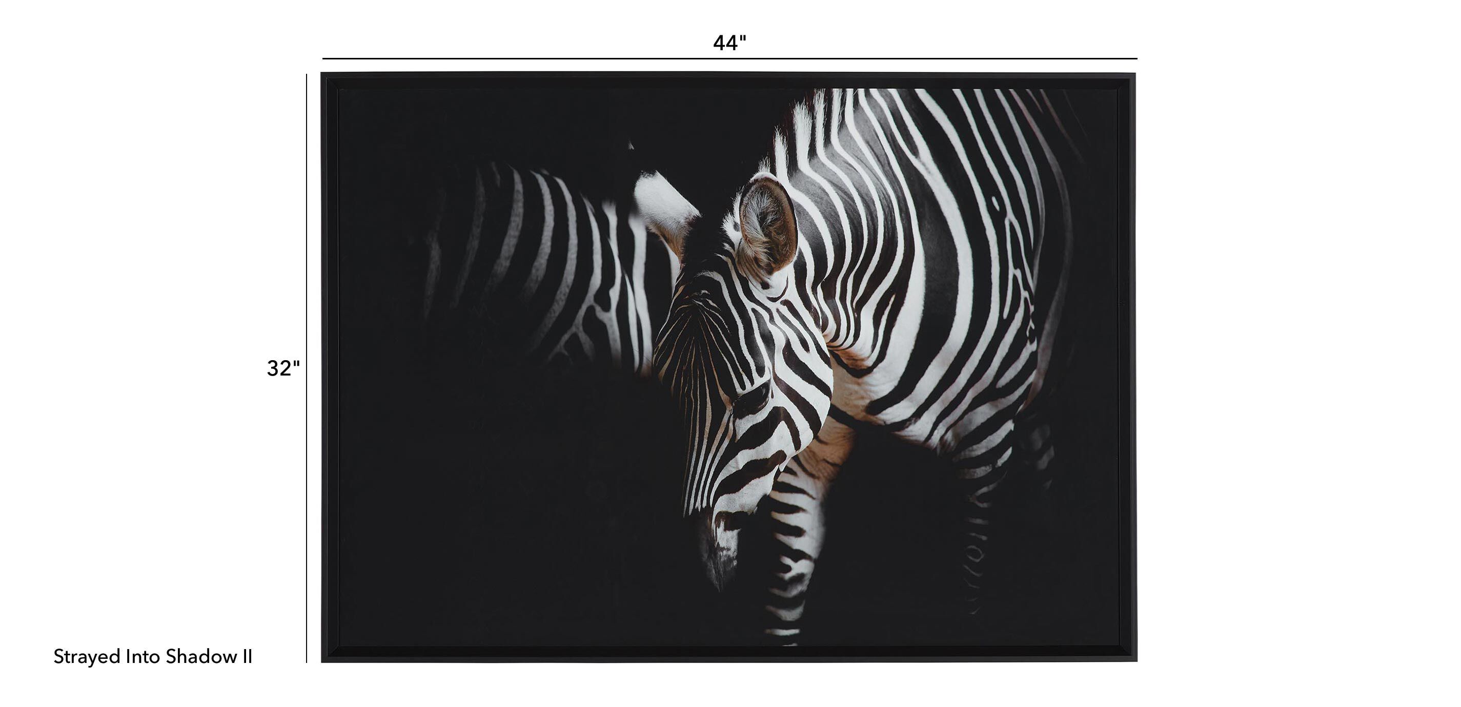 Strayed into Shadow II_1