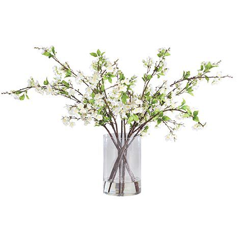 White Plum Blossom Arrangement in Tall Vase image
