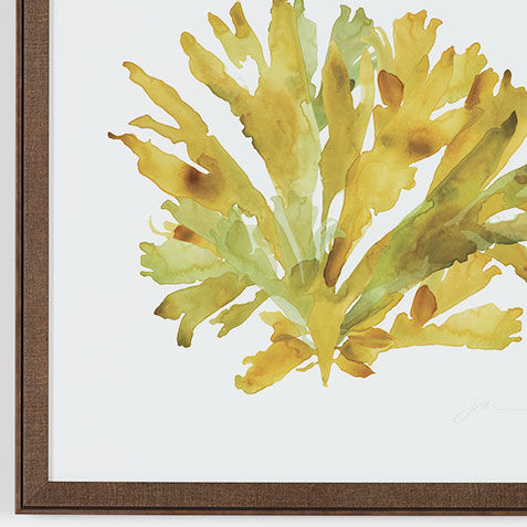 Soft Seaweed Product Tile Hover Image 073261C