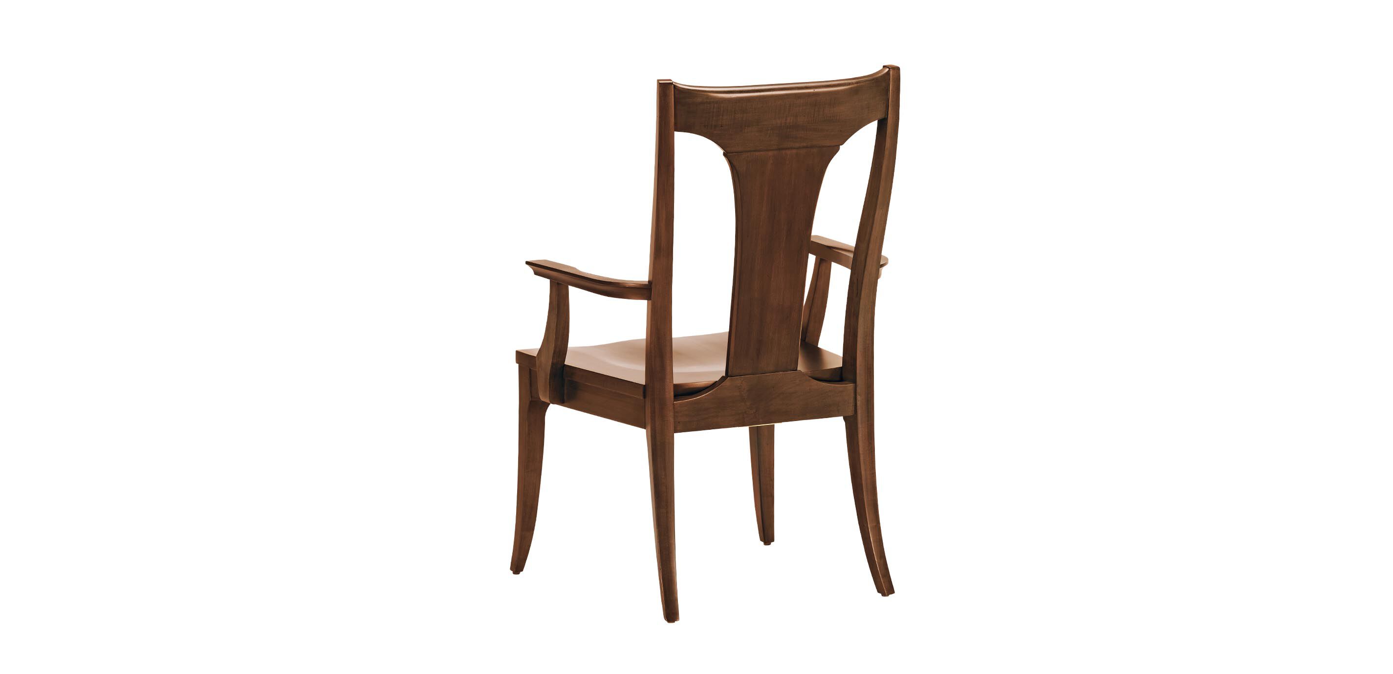 Artemis Dining Armchair, Wood Seat_2