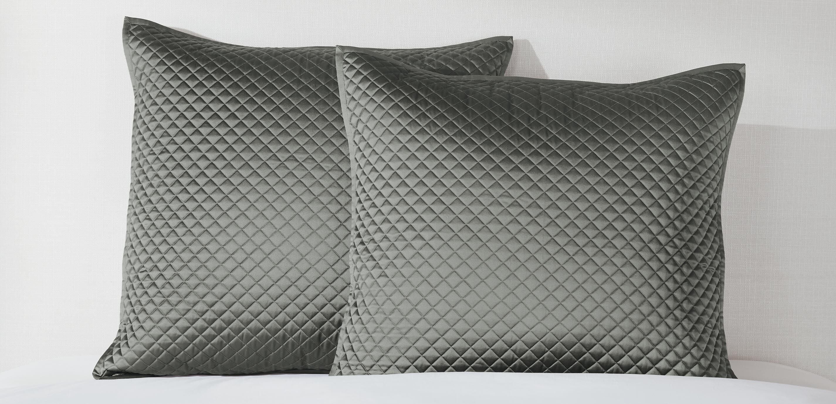Salena Quilted Euro Sham, Eucalyptus