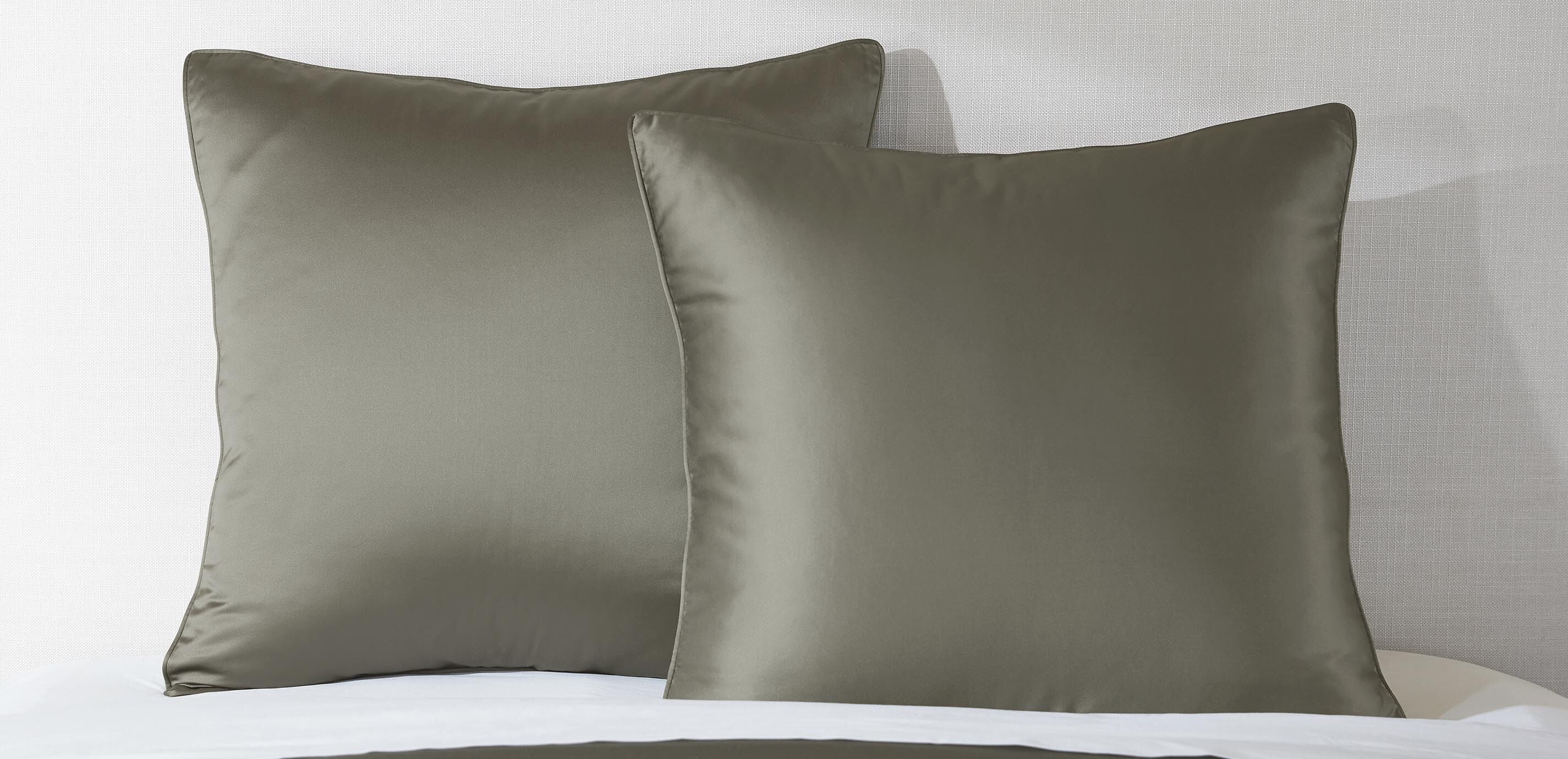 Salena Solid Euro Sham, Eucalyptus