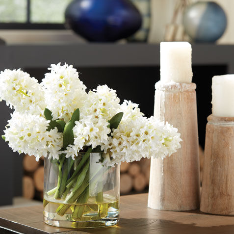 Hyacinth Watergarden Product Tile Hover Image 446378